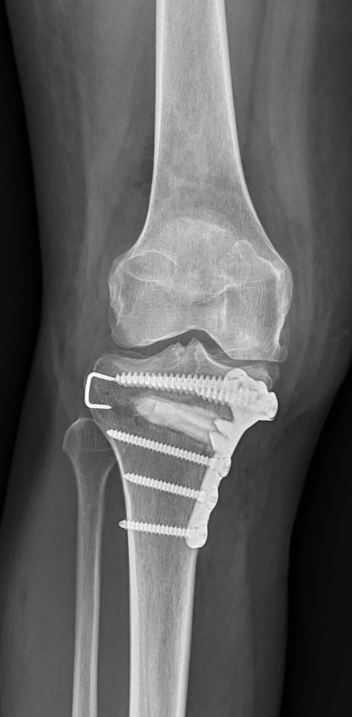 Figure4 scaled